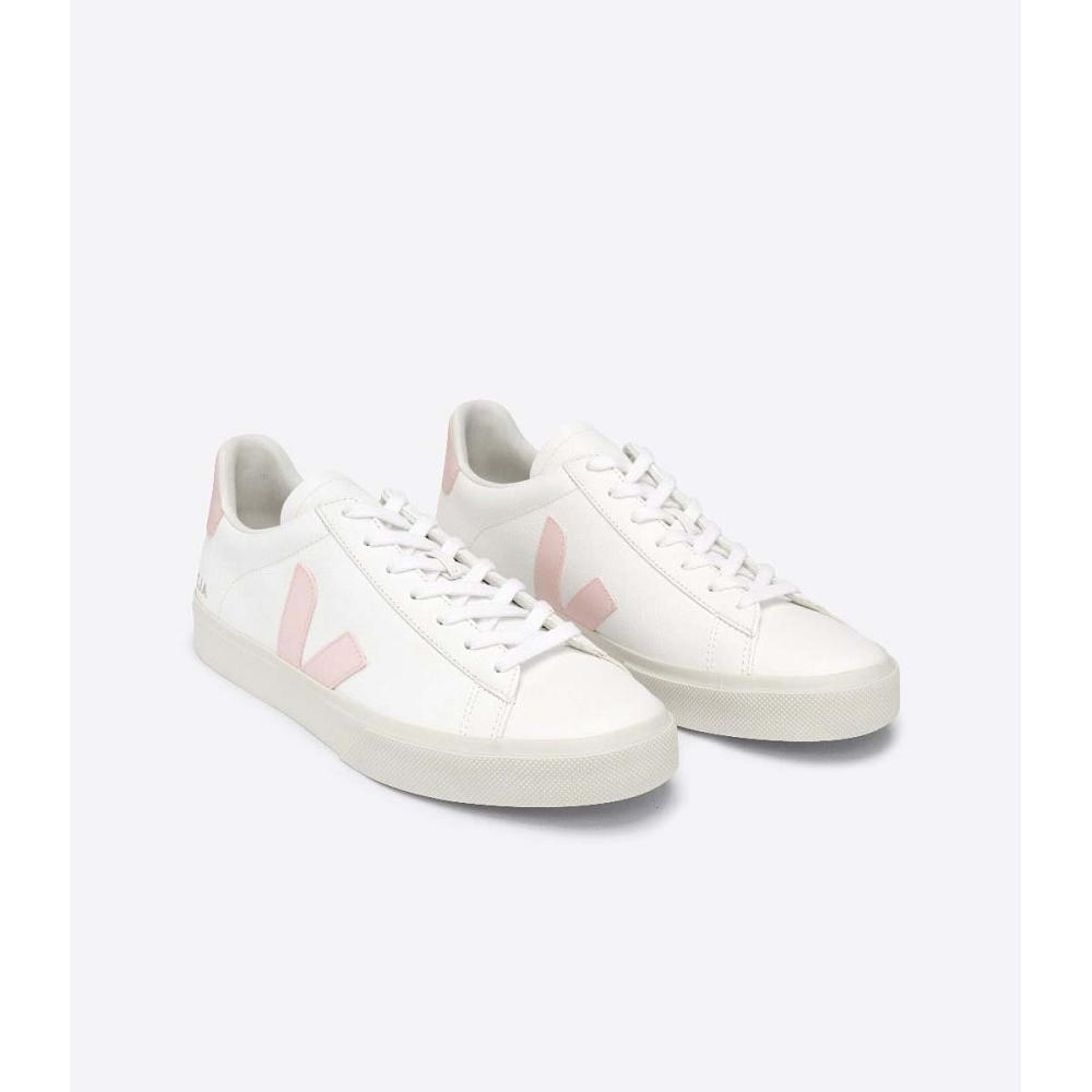 Veja CAMPO CHROMEFREE Women's Low Tops Sneakers White/Pink | CA 463KOR